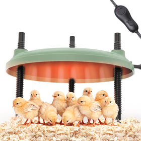 BibiBirds Brooder Plate heat panel delivering stable warmth for hatchlings in coops