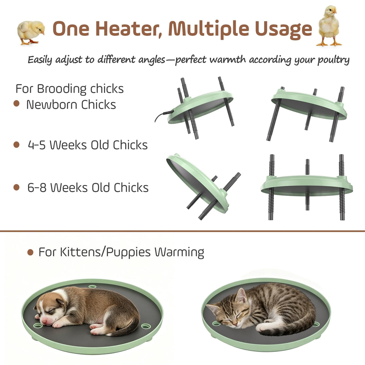 BibiBirds Brooder Plate height adjustment supports growing chicks with tailored warmth