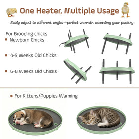 BibiBirds Brooder Plate height adjustment supports growing chicks with tailored warmth