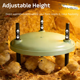 BibiBirds Brooder Plate remote control for hands free temperature tweaks