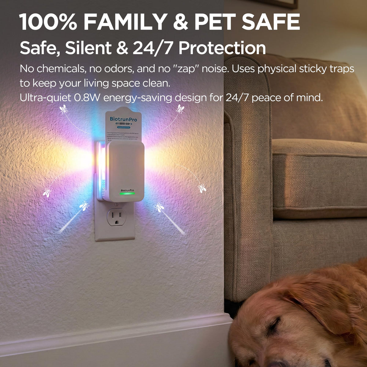 BietrunPro 0.8W silent operation keeps rooms peaceful.