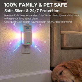 BietrunPro 0.8W silent operation keeps rooms peaceful.