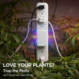BietrunPro safe for kitchens and homes with kids and pets.