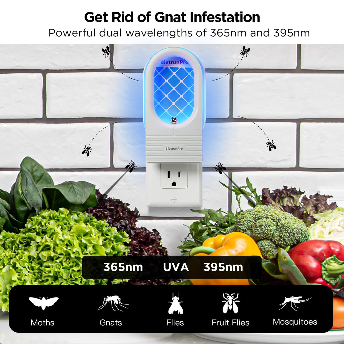 BietrunPro two-device plug-in setup for continuous pest control
