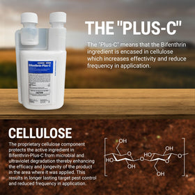Bifenthrin Plus-C termite treatment for interior wood protection.
