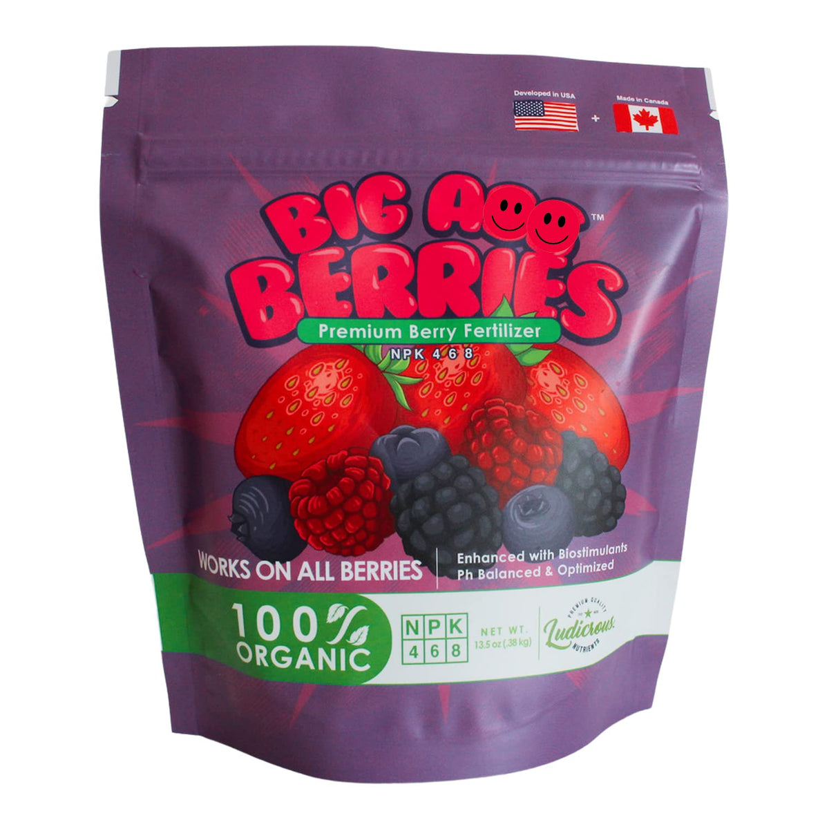 Big A Berries Fertilizer bottle front view supports organic berry growth in home gardens.