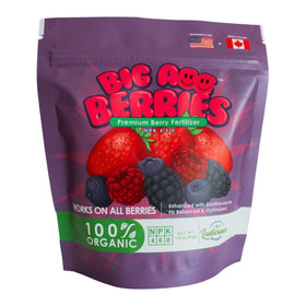 Big A Berries Fertilizer bottle front view supports organic berry growth in home gardens.