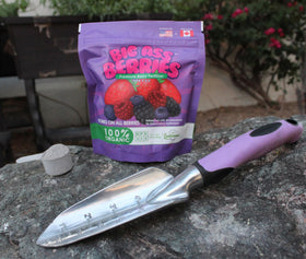 Big A Berries Fertilizer strawberry application scene supports healthy fruit production.