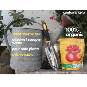 Outdoor garden tomatoes show improved vitality with easy-to-apply Big A fertilizer