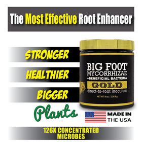 Big Foot Gold root growth emphasizes healthier root systems.