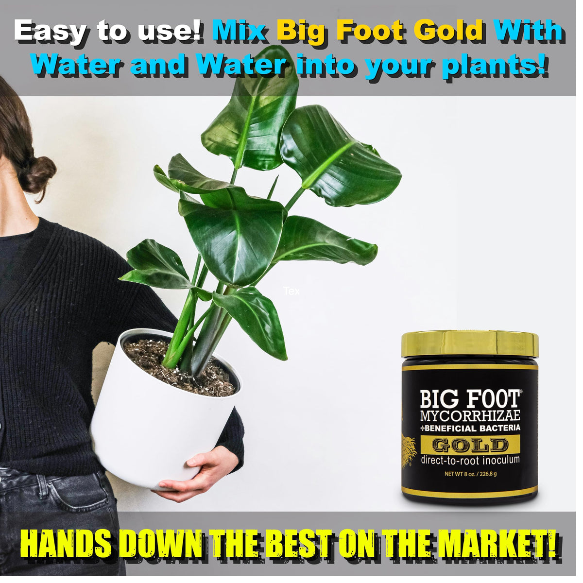 Big Foot Gold seed-start scene shows quick germination.