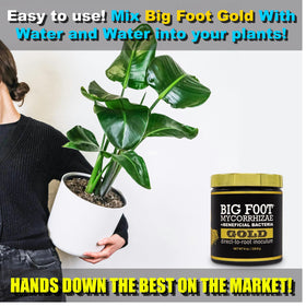 Big Foot Gold seed-start scene shows quick germination.