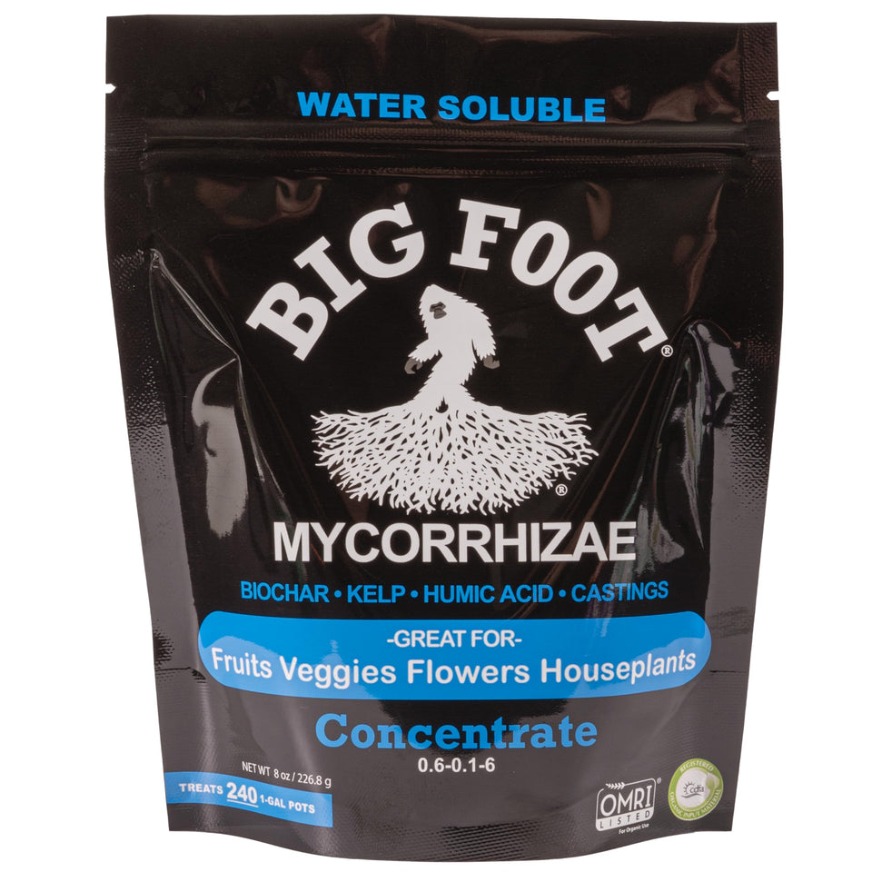 Big Foot mycorrhizae concentrate dissolving in water to improve root colonization.