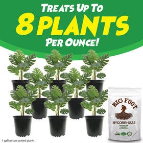 Big Foot Mycorrhizae used in lawn and garden settings