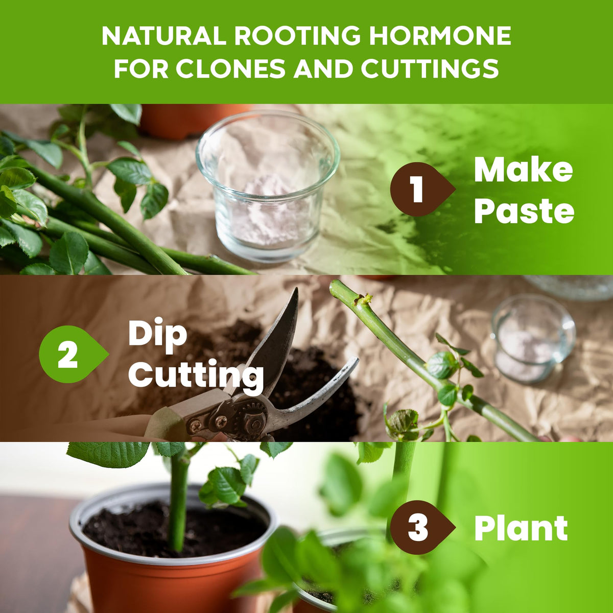 Big Foot Root Boost dissolves in water to feed root development.