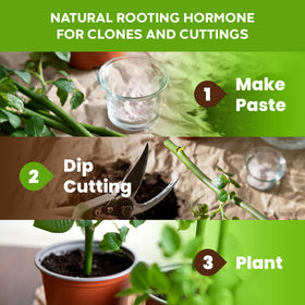 Big Foot Root Boost dissolves in water to feed root development.
