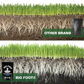 Big Foot water retention and drought tolerance in soil.