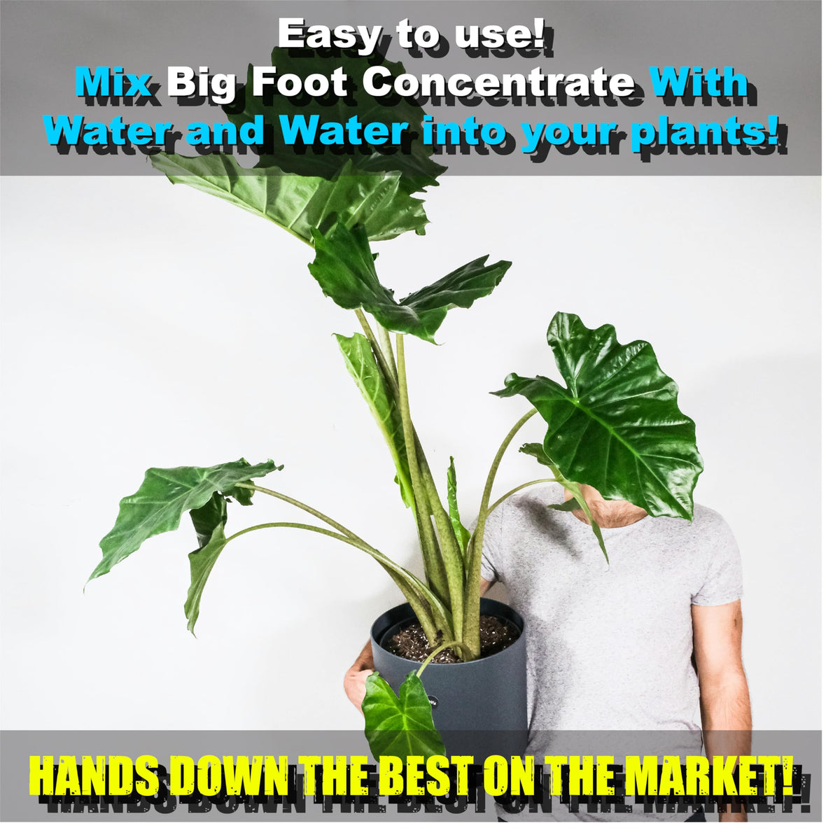 Big Foot Mycorrhizae dissolving in water enables uniform soil hydration