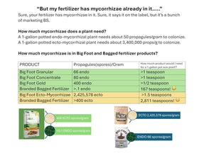 Big Foot Mycorrhizae in potted plants promotes strong foliage