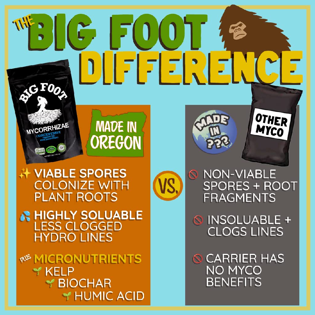Big Foot Mycorrhizae root growth in soil boosts nutrient uptake