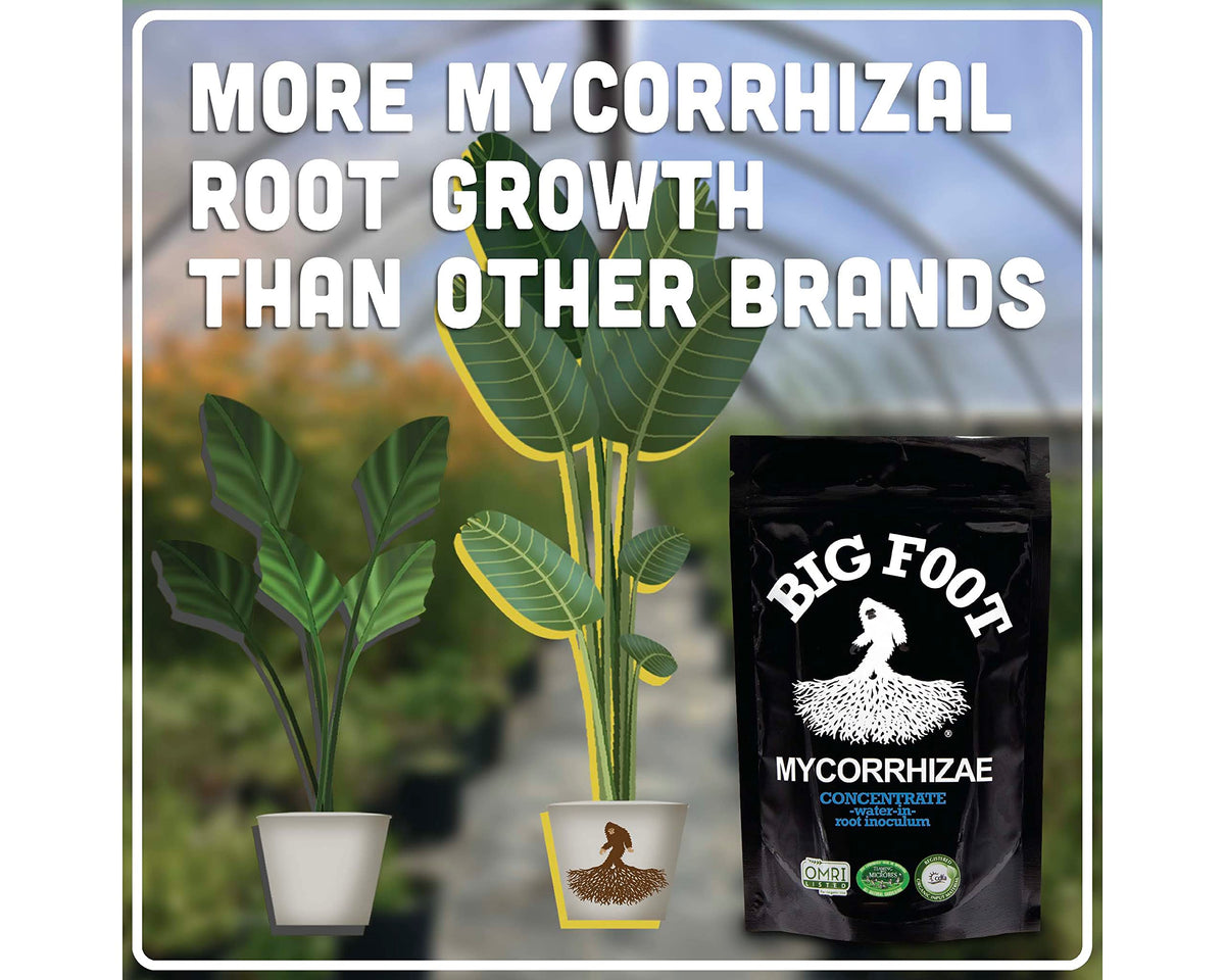 Big Foot Mycorrhizae soil structure improvement supports moisture retention