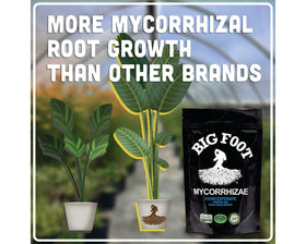 Big Foot Mycorrhizae soil structure improvement supports moisture retention