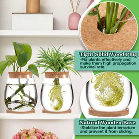 Biggun gift set of two vases suits gardeners and plant lovers.