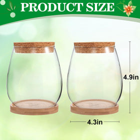 Biggun root-observation glass container shows root growth progress inside transparent glass.