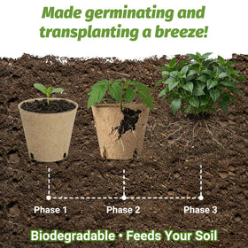 Bigivaca 3.1-inch seed-starting pots for diverse plants