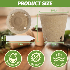 Bigivaca biodegradable seed pots ideal for transplanting