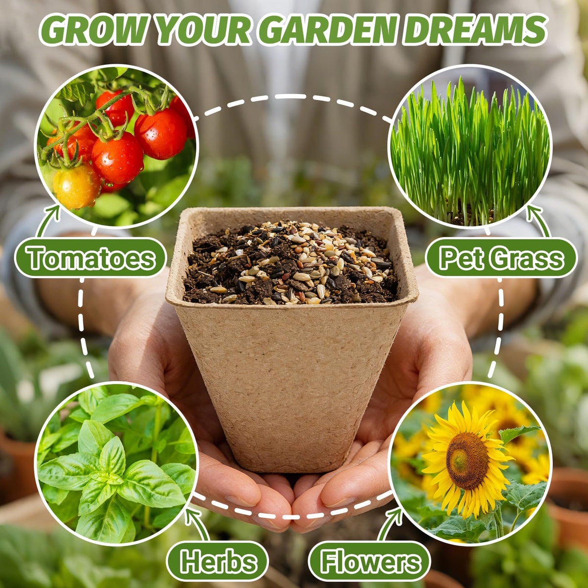 BIGIVACA biodegradable seed starter kit for flowers herbs and vegetables