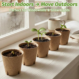 Bigivaca garden starter kit for herbs, flowers, and vegetables