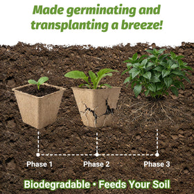 BIGIVACA square pots with drainage prevent waterlogging during germination