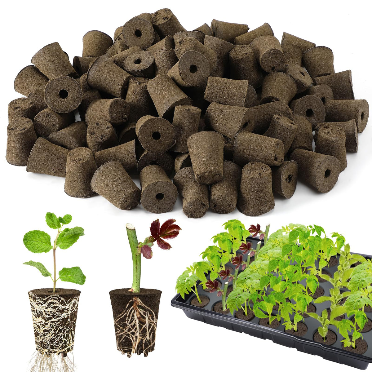 Bigmeta 50-pcs round rooting sponges ready for quick germination in seed trays.