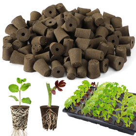 Bigmeta 50-pcs round rooting sponges ready for quick germination in seed trays.