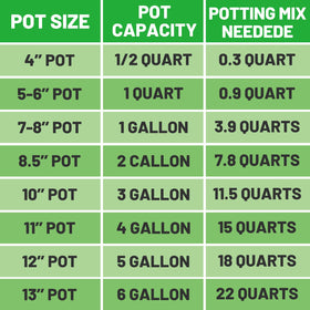 Indoor plants using Bigmeta Coco Coir Perlite Mix for healthier growth.