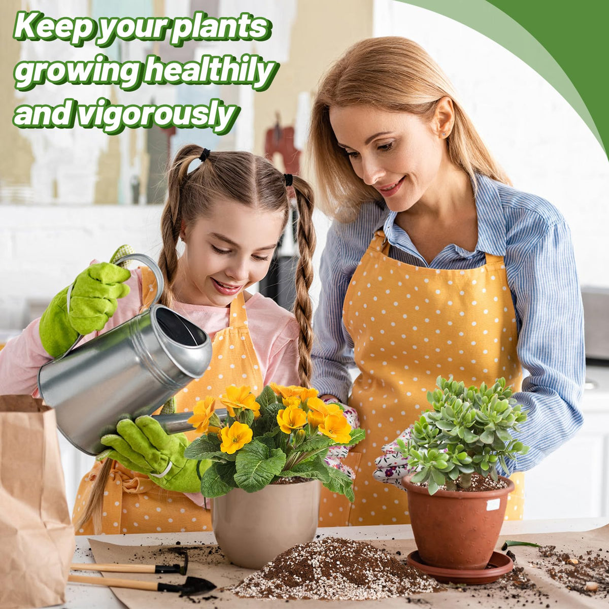 Bigmeta mix providing moisture retention for indoor plants.