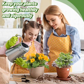 Bigmeta mix providing moisture retention for indoor plants.