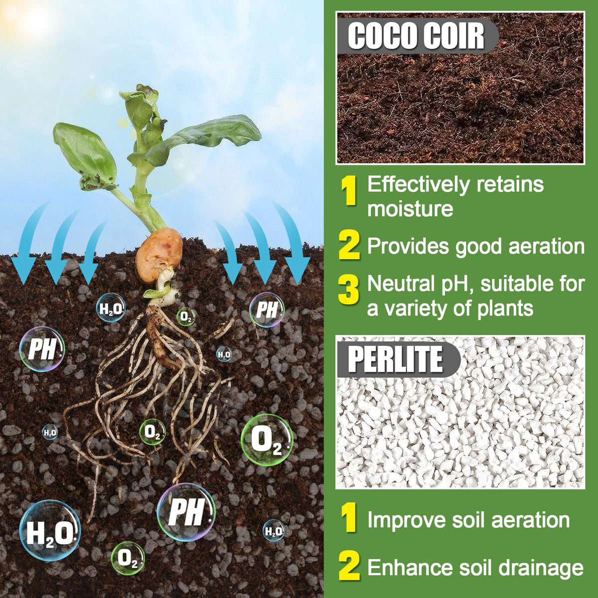 Close-up of Bigmeta Coco Coir Perlite Mix texture showing airy soil for roots.