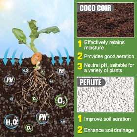 Close-up of Bigmeta Coco Coir Perlite Mix texture showing airy soil for roots.