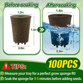 Bigmeta easy-soak-3to5min method saves time in seed starting.