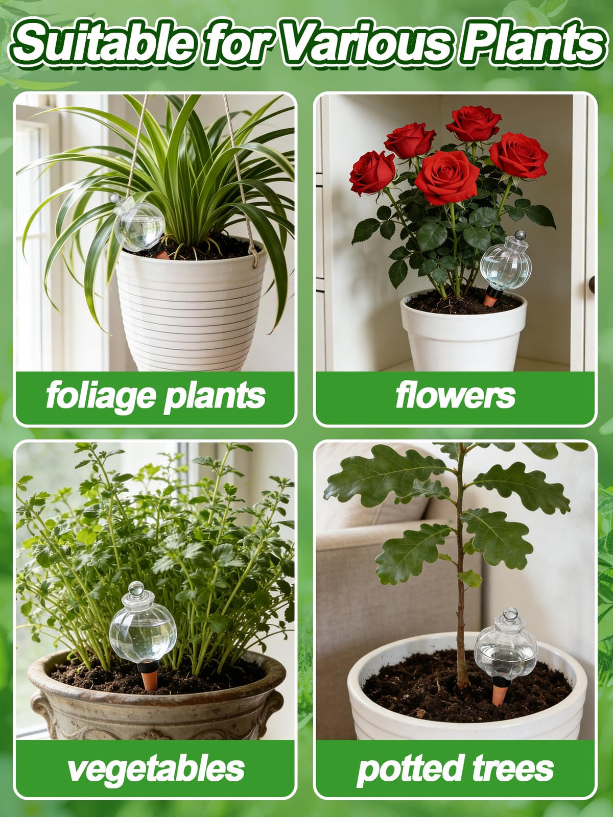 Bigmeta lantern-shaped set adds aesthetic appeal and practical care for plants.