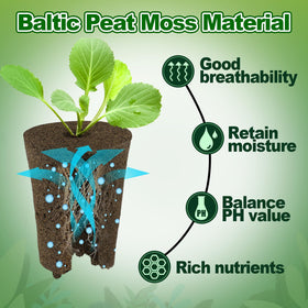 Bigmeta seedling-tray compatibility fits trays, growing baskets, and propagation setups.