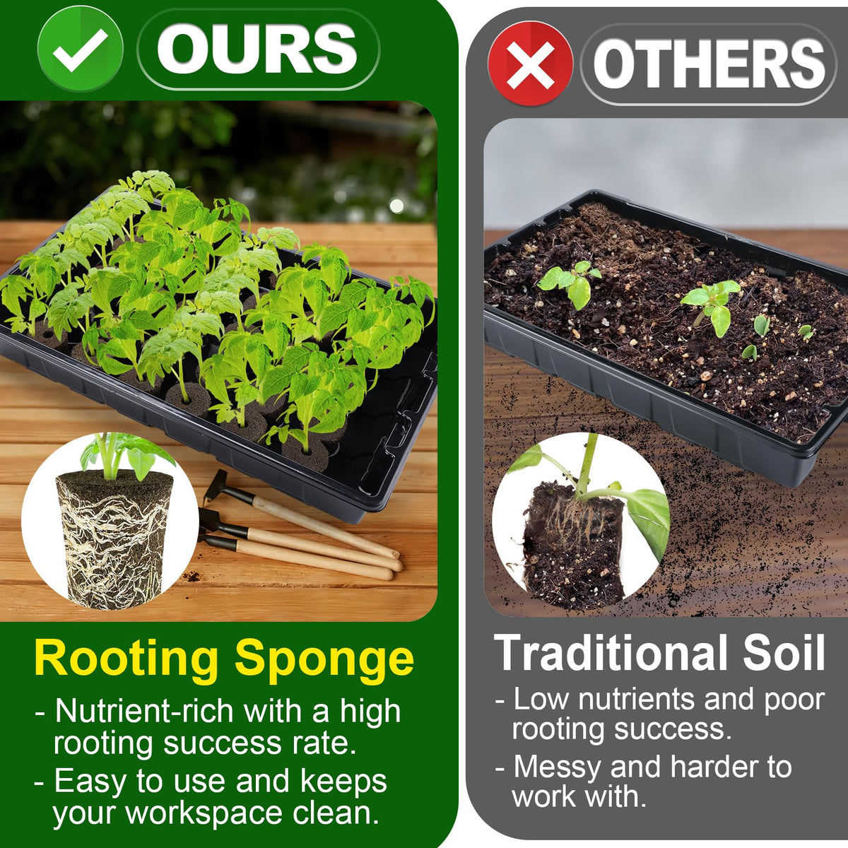 Bigmeta peat-moss starter sponges provide moisture retention and balanced pH.