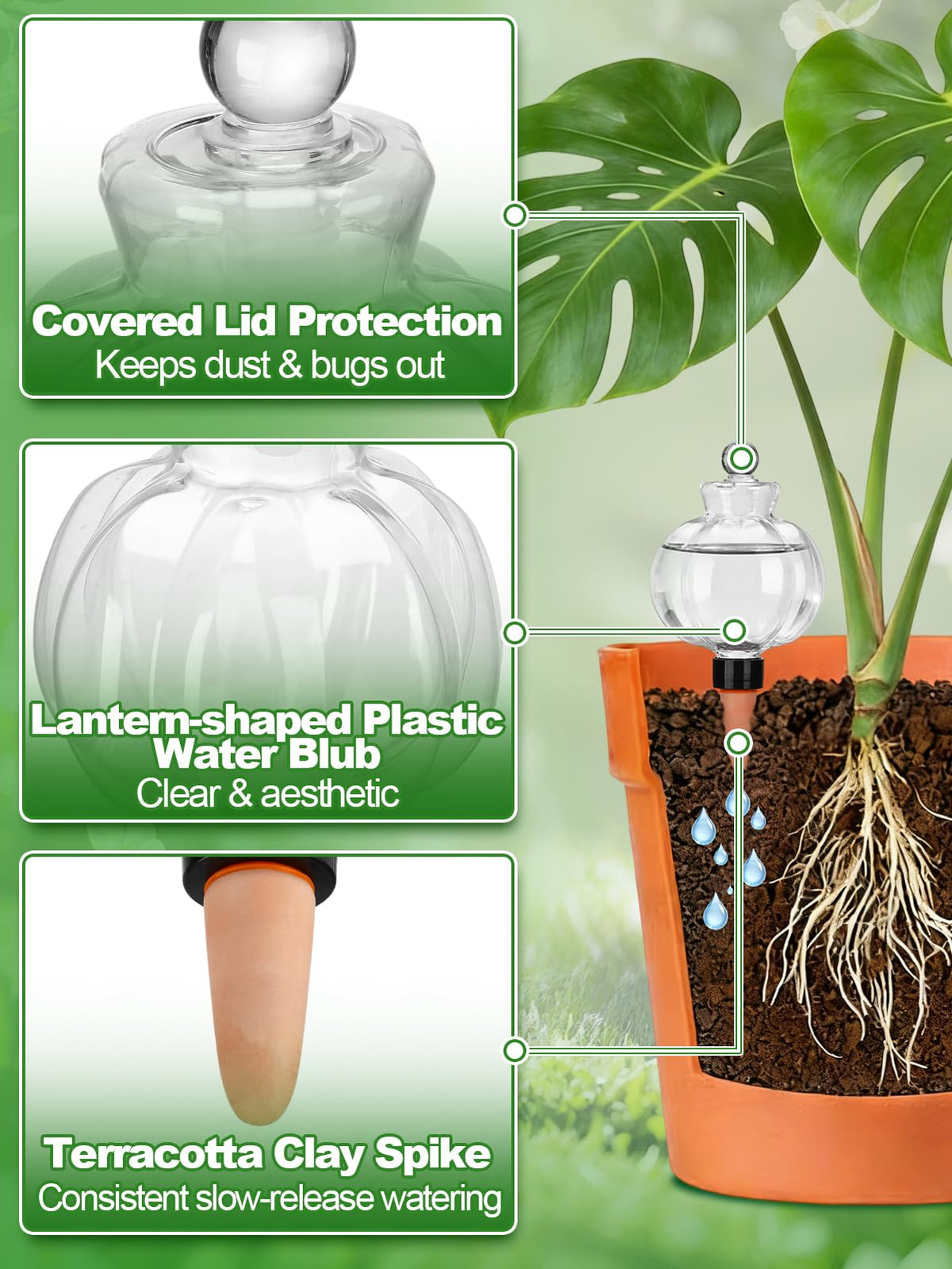 Bigmeta terracotta spike promotes slow, even water release for healthy growth.