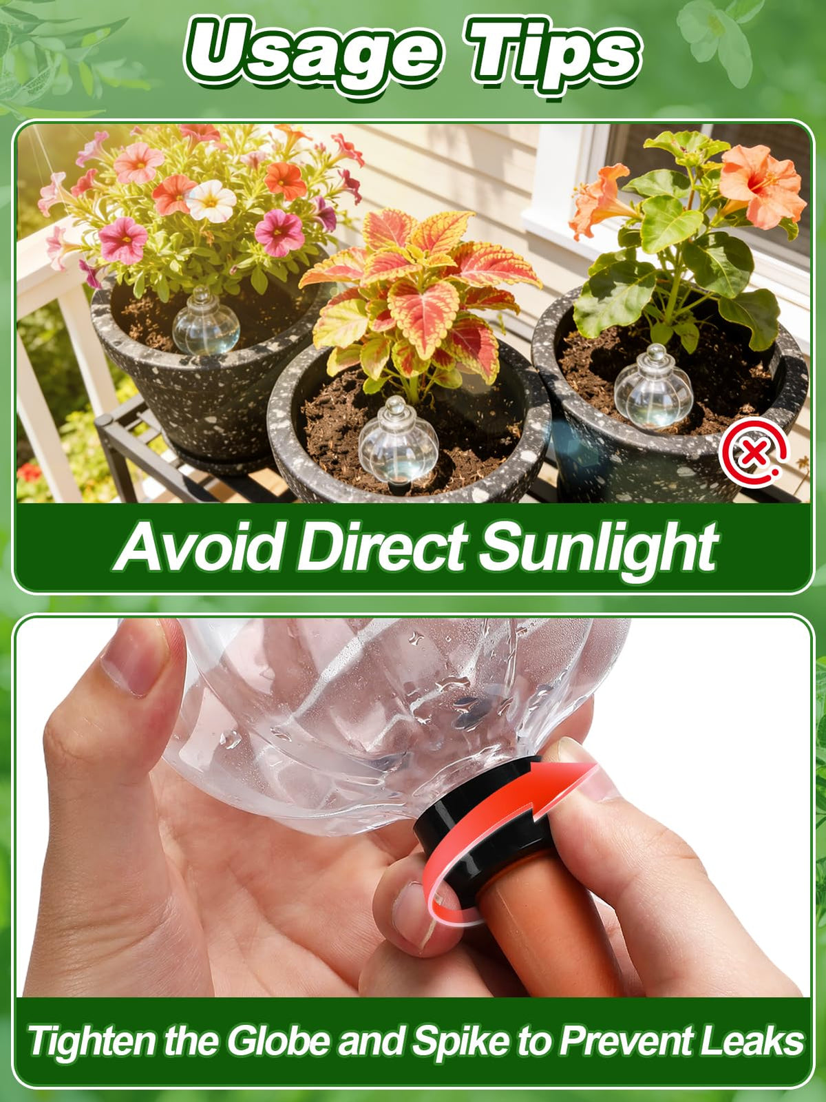 Bigmeta versatile globes suitable for indoor and outdoor plants.