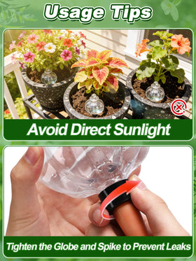 Bigmeta versatile globes suitable for indoor and outdoor plants.