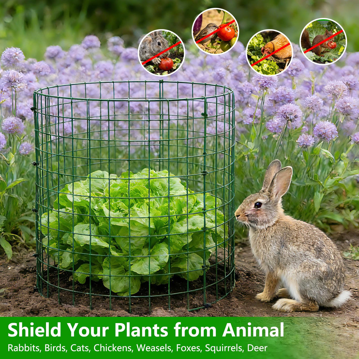 Bigwish ground stakes securing plant cages into soil for stability