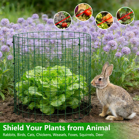 Bigwish ground stakes securing plant cages into soil for stability