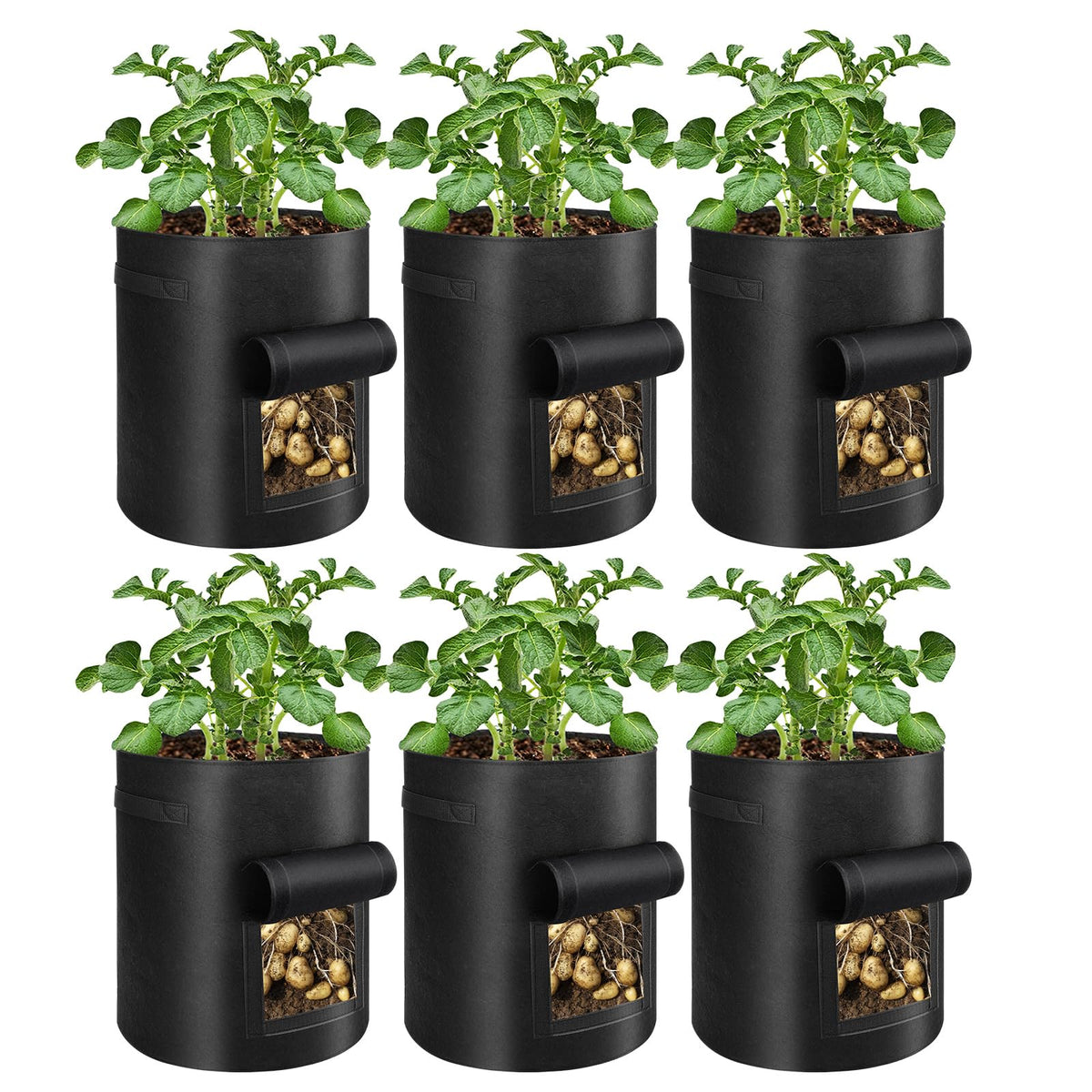 BIJOKETTEN 6-pack potato grow bags with view window for easy monitoring and harvest